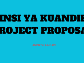 Jinsi ya kuandika Project Proposal andiko la mradi 2025/2026