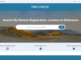 Jinsi Ya Kuangalia Deni La Gari 2025 (TMS Traffic Check)